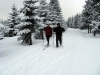 Tour de Compek (ski), 20.1.2011